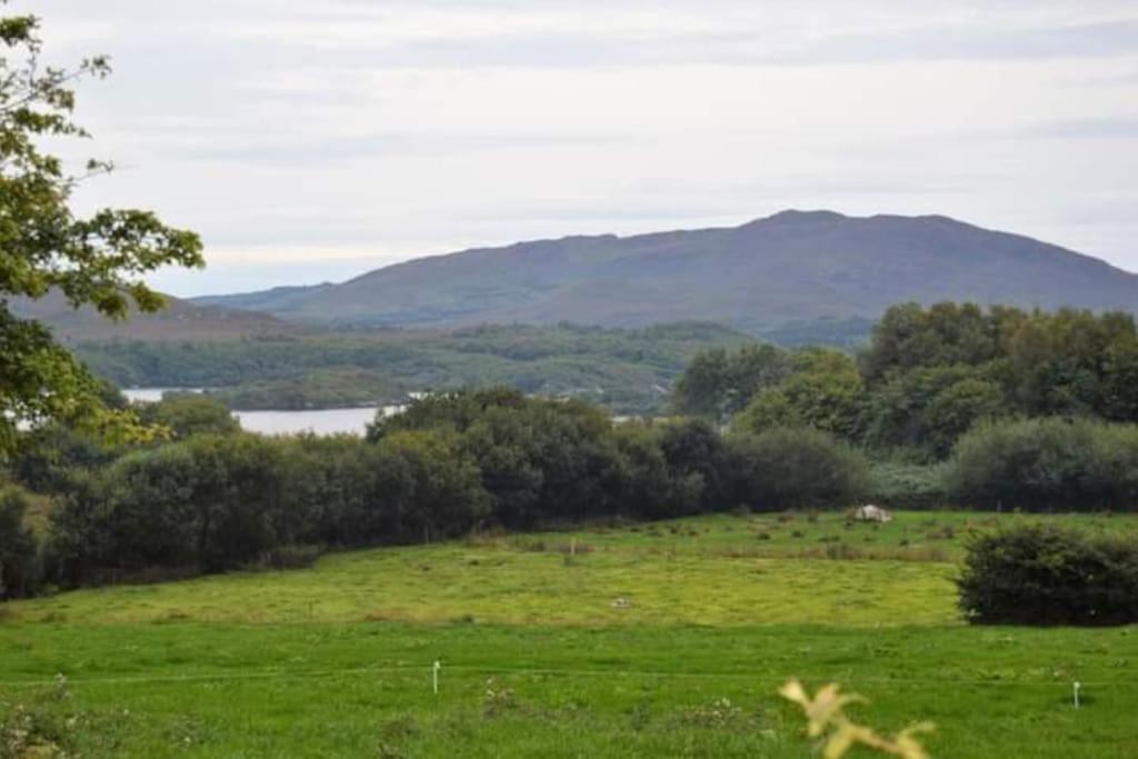 Twin View - In Pontoon Holiday home